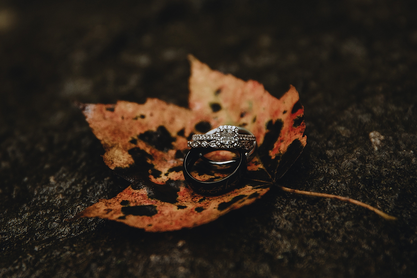 Detail shot of wedding bands on autumn leaf in the forest Catawba Falls Asheville, NC Elopement Photography captured by Maggie Alvarez Photography