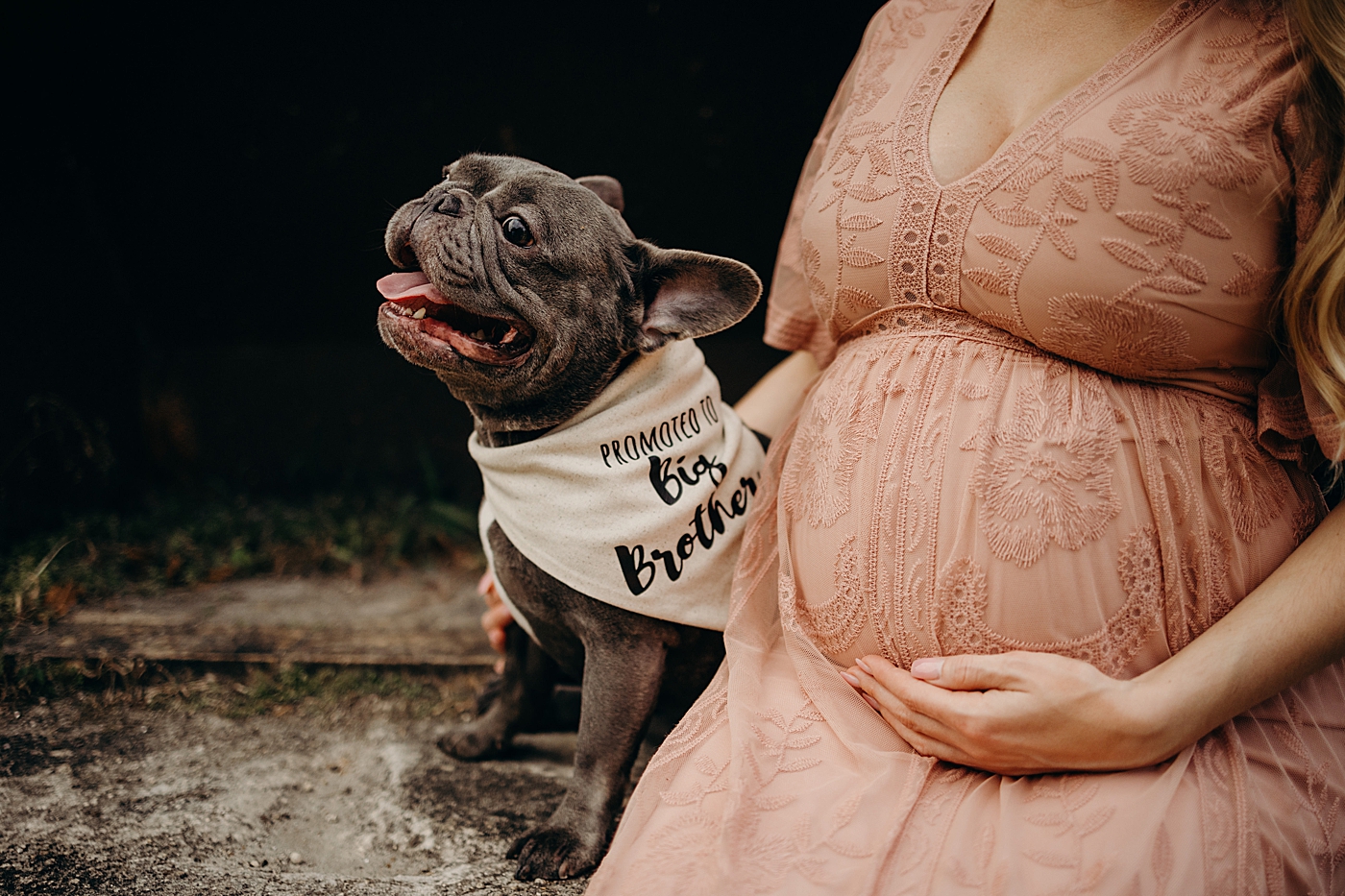 Pregnant woman holding her dog next to her Riverbend Park Maternity Photography by South Florida Family Photographer Maggie Alvarez Photography