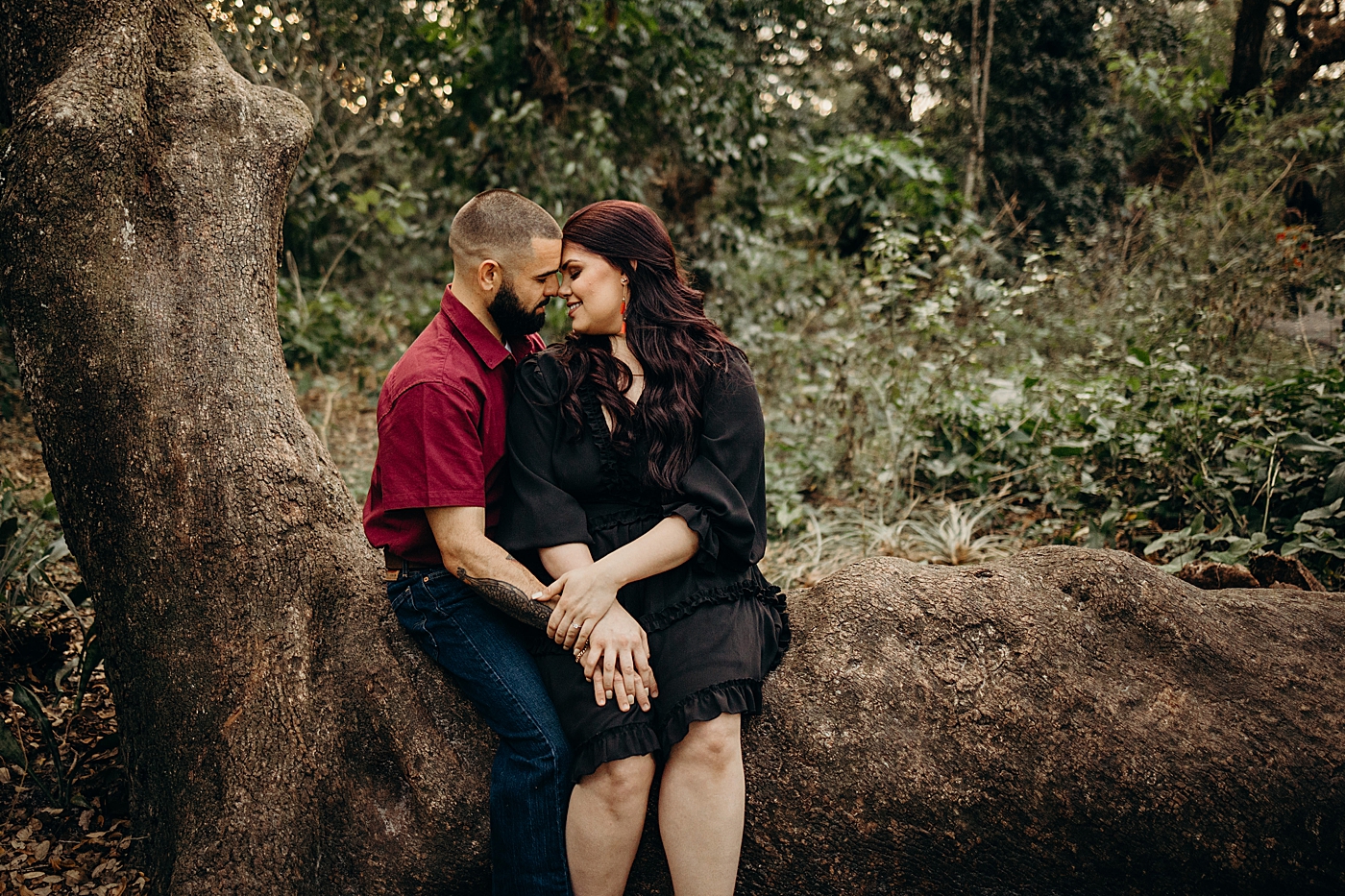 Couple sitting on tree root and holding each other Tree Top Park Engagement Photography captured by Maggie Alvarez Photography