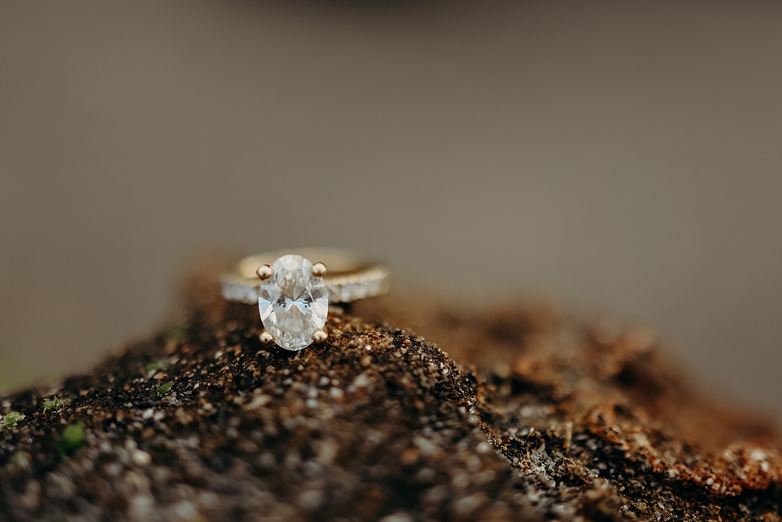Detail shot of oval clear fine detail engagement ring Coral Cove Park Engagement Photography captured by South Florida Family Photographer Maggie Alvarez Photography