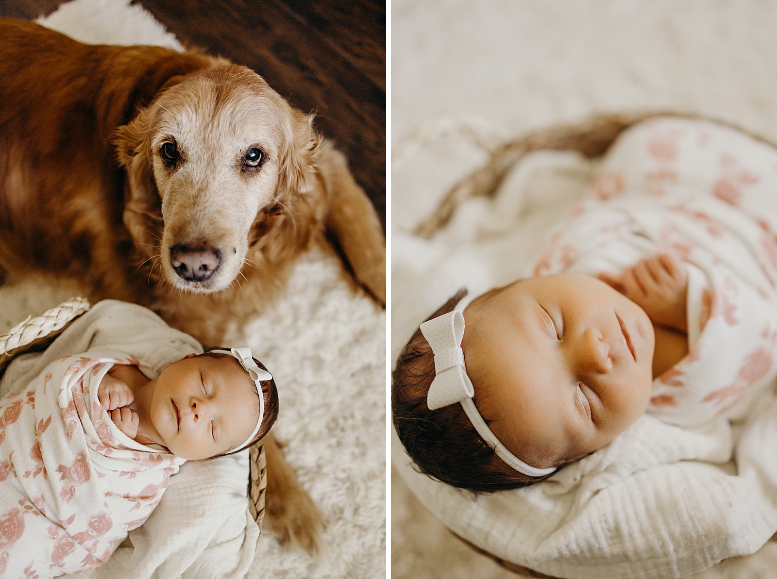 Dog sitting next to sleeping baby girl protecting her South Florida Newborn Photography Photography captured by South Florida Family Photographer Maggie Alvarez Photography