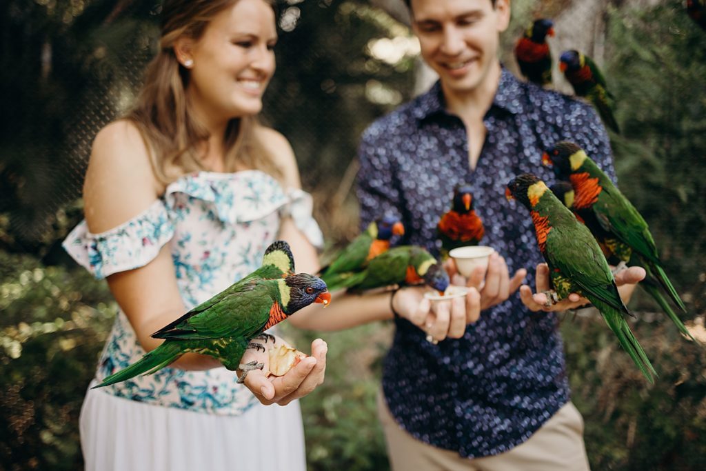 Couple with arms out holding multiple birds in their hands